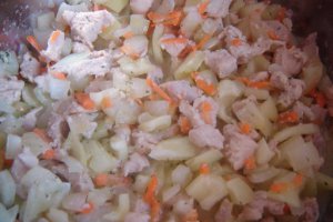 Papricas de pui cu smantana si galusti
