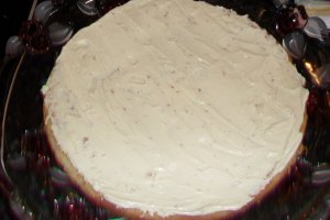 Tort 13