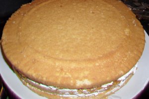 Tort 13