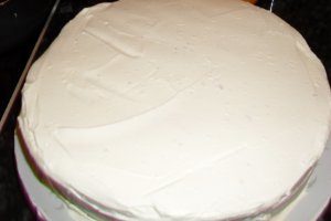 Tort 13