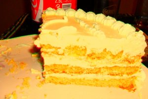 Tort 13