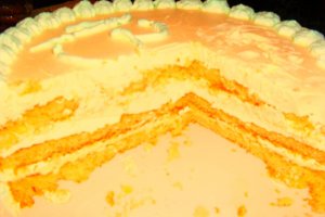 Tort 13