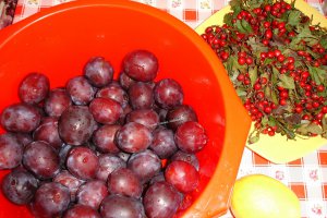 Magiun de prune