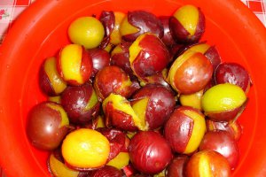 Magiun de prune