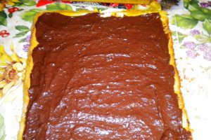 Buturuga de ciocolata