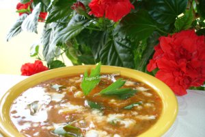 Ciorba taraneasca de legume