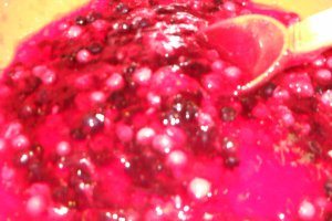 Tort cu fructe de padure
