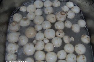 Champignonsoße(sos de Champignon)