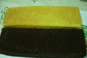 Tort Metru