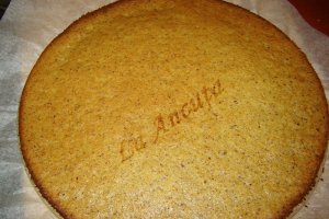 Tort cu ciocolata si nuca  ~nr. 100~
