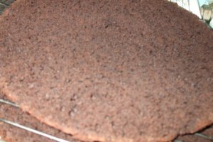Tort "An nou" 2011