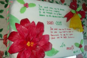 Tort "An nou" 2011