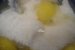 Fursecuri "Iulia"-1