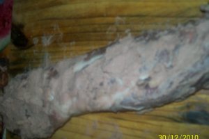 Muschi de porc in foetaj