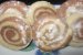 Cerculete spiralate-1