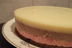 Tort 2011