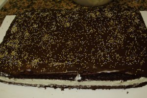 Prajitura Milch Schnitte