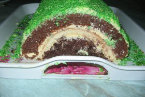 Tort  "Tunel"