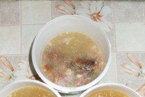 Racituri (piftii)