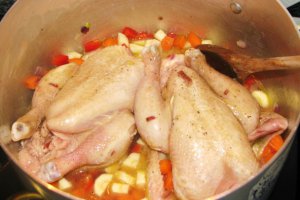 Poussin (pui mic) pe pat de supa de legume inabusite