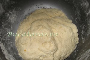 Prajitura cu branza si prune