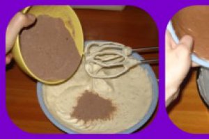 Tort Ganache