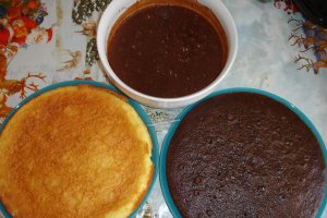 Tort in doua culori