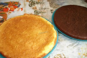 Tort in doua culori