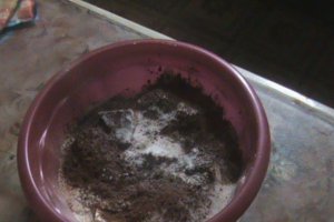 Tarta ruseasca
