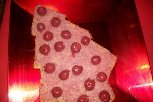 Tort bradut