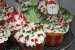 Christmas Muffins-6