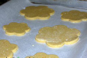 Brazi din turta dulce