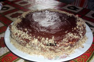 Tort Ion şi Ionela