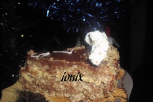 Tort Ion şi Ionela