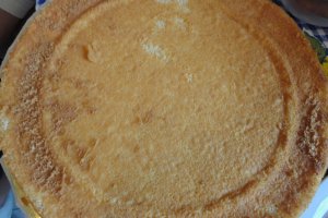 Tort de vanilie cu ciocolata