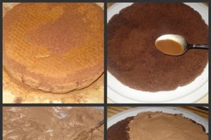 Tort Claudia