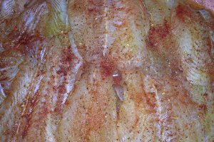 Pangasius cu saramura