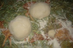 Painica Iepuras