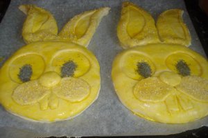 Painica Iepuras