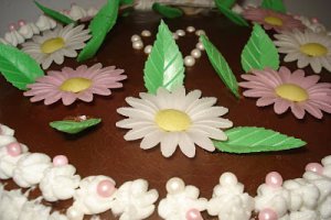 Tort Watermelon