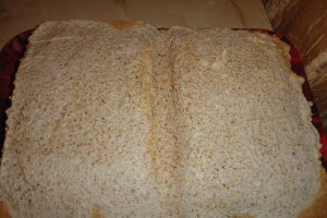 Tort egiptean
