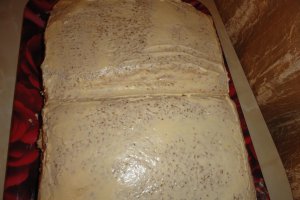 Tort egiptean