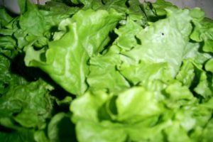 200-Salata Cezar  by  Jamie Oliver
