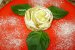 Trandafiri din foietaj cu mere-2