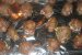 Chiftelute umplute cu masline verzi-3