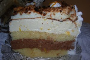 Tort Winter
