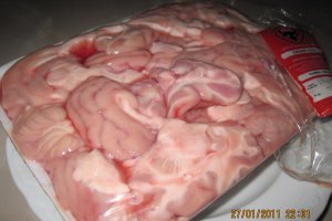 Creier de porc pane