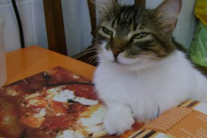 Creveti cu sos de rosii si branza feta