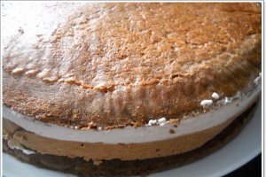 Tort sah