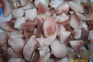 Tocanita de ciuperci cu ceapa